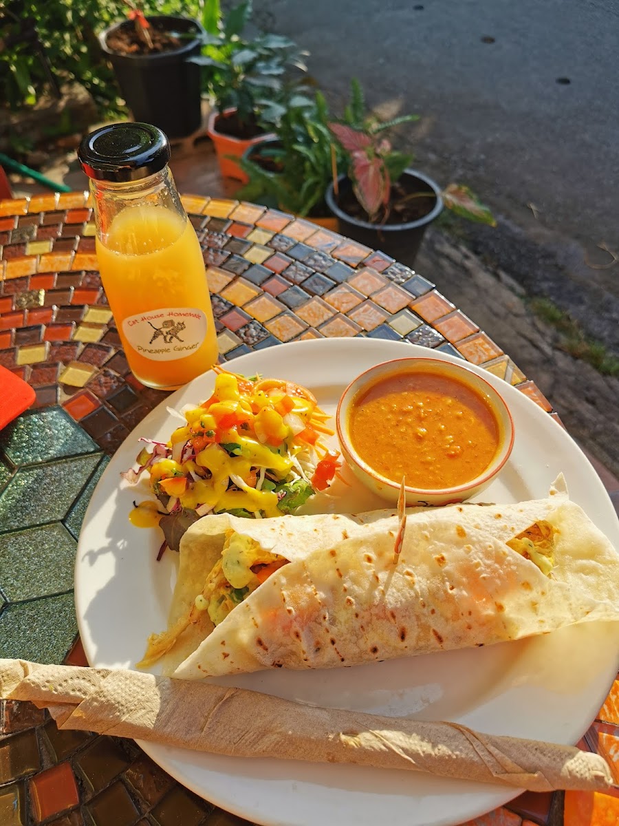 Cat House Chiangmai-10