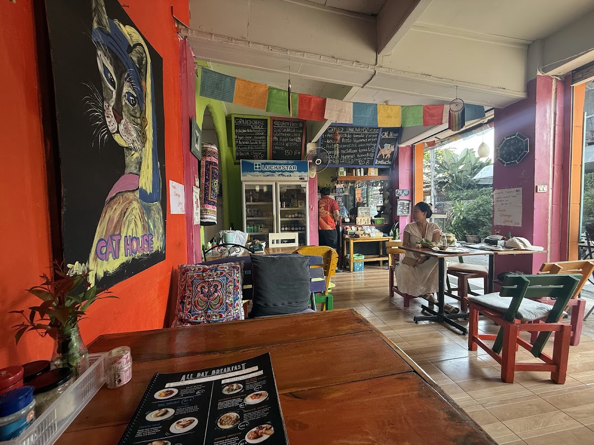 Cat House Chiangmai-3