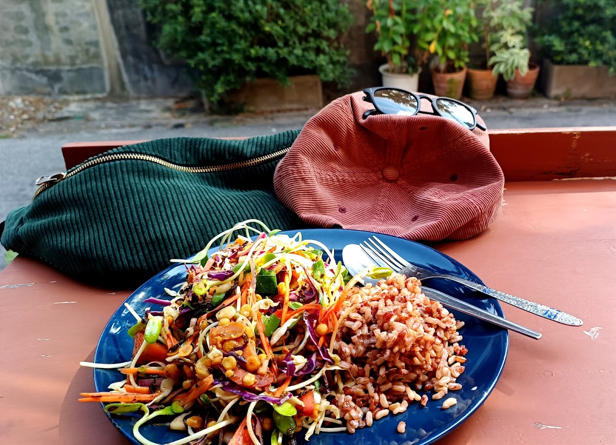 Cat House Chiangmai-5