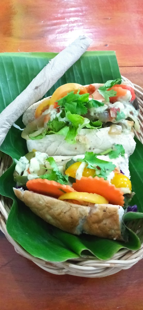 Cat House Chiangmai-6