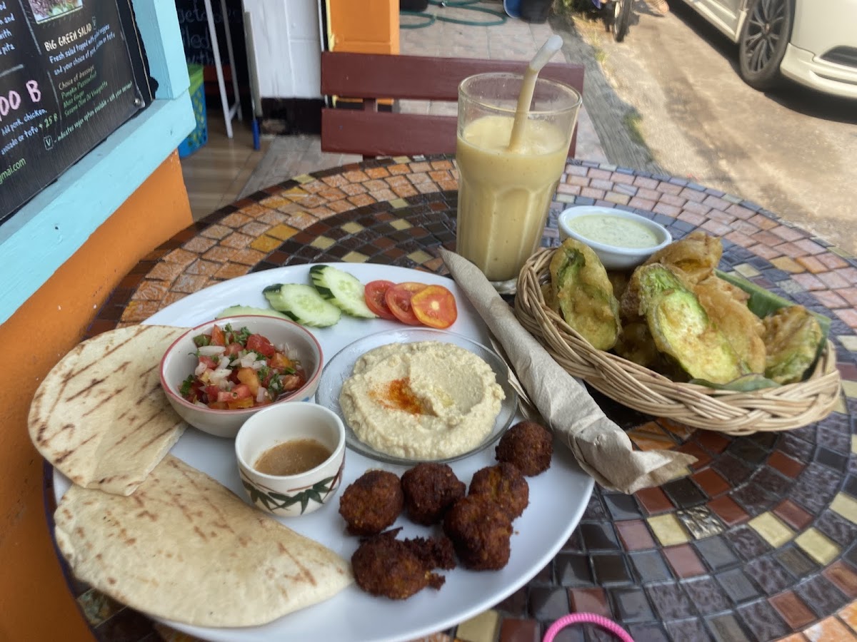 Cat House Chiangmai-8