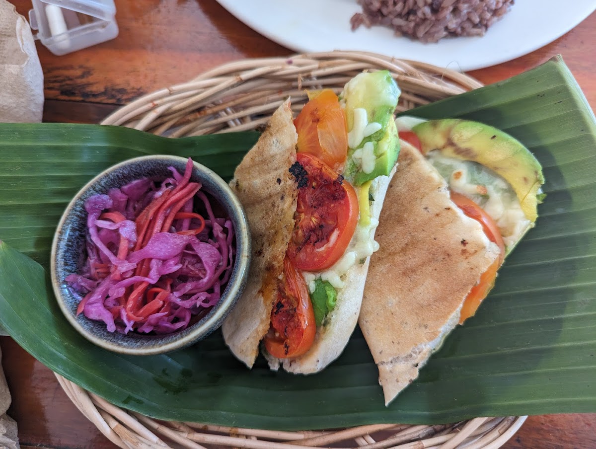 Cat House Chiangmai-9